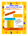 Nifide Flyer 3