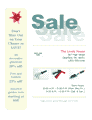 Business Sale Flyer (8 1/2 X 11, 3-item)